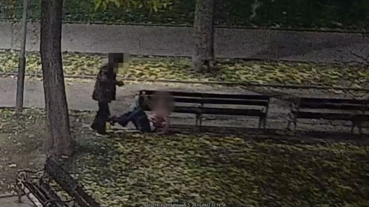 Muž surově zbil před pražským hlavním nádražím ženu. Šlapal jí po hlavě